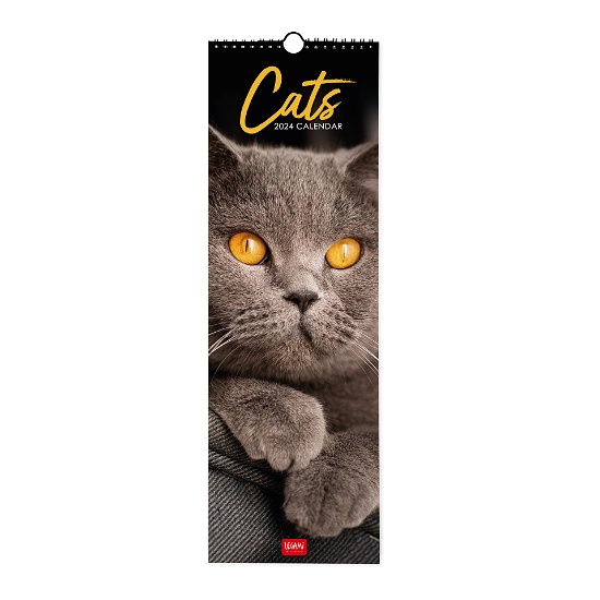 Cover for Legami · Wall Calendars - 2024 Wall Calendar - Cats - 16x49 - Cats (Paperback Bog) (2023)