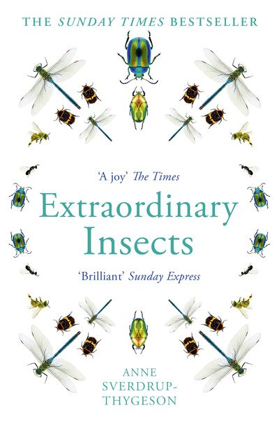 Cover for Anne Sverdrup-Thygeson · Extraordinary Insects: Weird. Wonderful. Indispensable. the Ones Who Run Our World. (Paperback Bog) (2020)