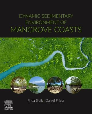 Cover for Dynamic Sedimentary Environments of Mangrove Coasts (Paperback Book) (2020)