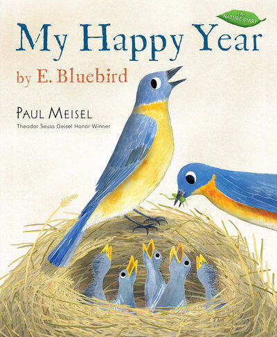 Cover for Paul Meisel · My Happy Year by E.Bluebird (Hardcover Book) (2019)