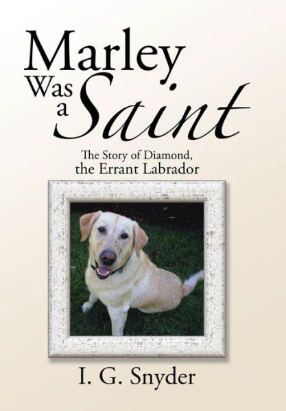 Cover for I G Snyder · Marley Was a Saint (Hardcover Book) (2016)