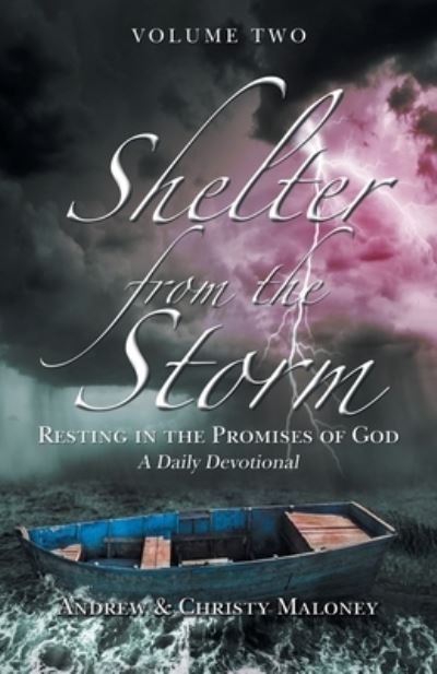 Andrew Maloney · Shelter from the Storm (Bog) (2022)