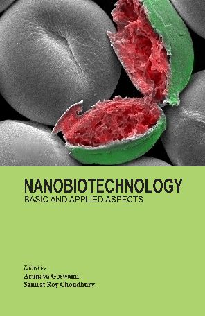 Cover for Nanobiotechnology: Basic and Applied Aspects (Hardcover Book) (2017)