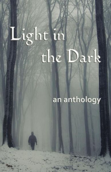 Cover for Gill James · Light in the Dark (Paperback Book) (2014)