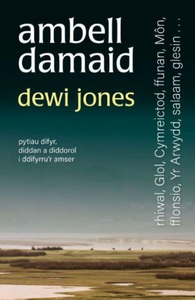 Cover for Dewi Jones · Ambell Damaid (Paperback Book) (2020)