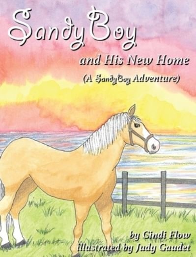 Cover for Cindi Flow · SandyBoy and His New Home (A SandyBoy Adventure) (Hardcover bog) (2021)