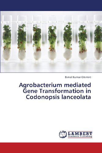 Agrobacterium Mediated Gene Transformation in Codonopsis Lanceolata - Bimal Kumar Ghimire - Livros - LAP LAMBERT Academic Publishing - 9783659434372 - 9 de agosto de 2013