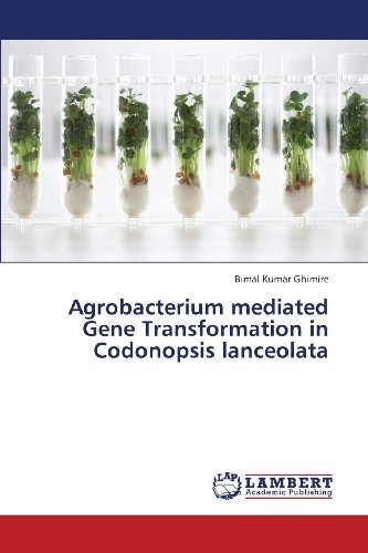 Agrobacterium Mediated Gene Transformation in Codonopsis Lanceolata - Bimal Kumar Ghimire - Libros - LAP LAMBERT Academic Publishing - 9783659434372 - 9 de agosto de 2013