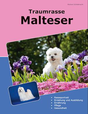 Cover for Marlene Schildknecht · Traumrasse Malteser (Book) (2024)