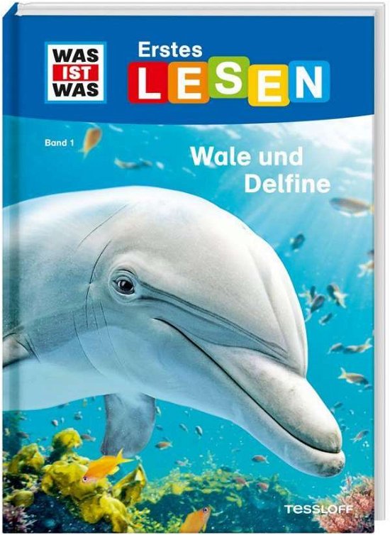 Cover for Braun · Was ist was Erstes Lesen: Wale un (Buch)