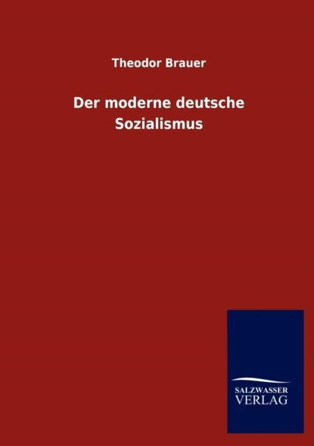 Cover for Theodor Brauer · Der moderne deutsche Sozialismus (Paperback Book) (2013)