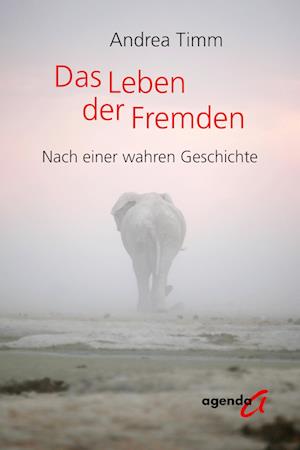 Andrea Timm · Das Leben der Fremden (Bok) (2024)