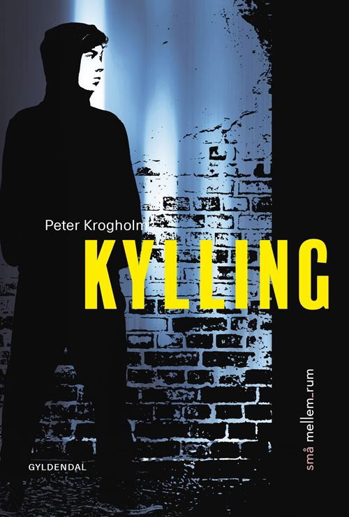 Cover for Peter Krogholm · Små Mellem_rum: Små Mellem_rum. Kylling (Bound Book) [1st edition] (2023)