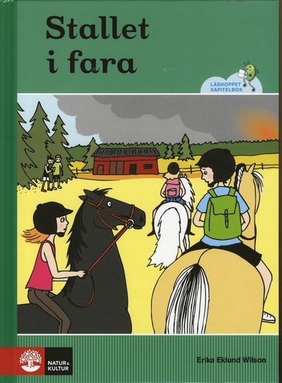 Cover for Erika Eklund Wilson · Läshoppet kapitelbok: Läshoppet Kapitelbok - Stallet i fara (Bound Book) (2019)
