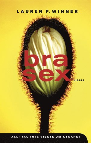 Cover for Lauren F. Winner · Bra sex : allt jag inte visste om kyskhet (Bound Book) (2006)