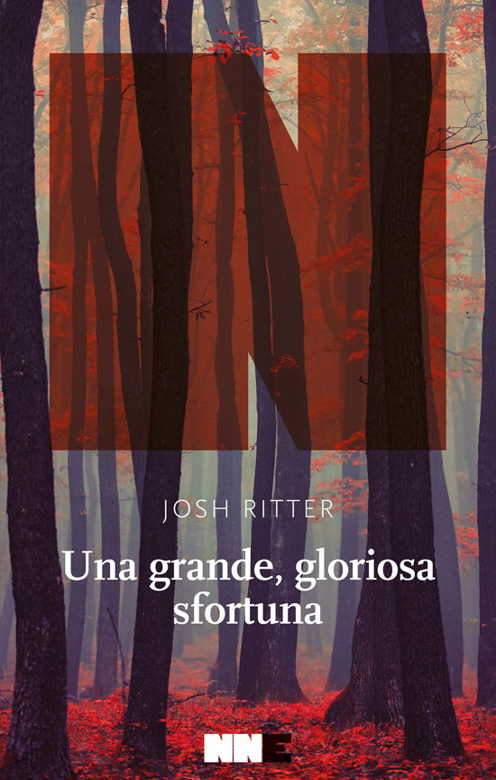 Cover for Josh Ritter · Una Grande, Gloriosa Sfortuna (Bok)