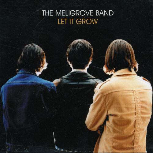 Let It Grow - Meligrove Band - Music - ENDEARING - 0624060720373 - December 23, 2003