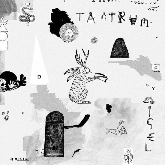 Cover for Nigel · Tantrum (CD) (2020)