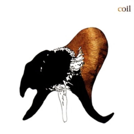 Cover for Coil · Black Antlers (Ltd Clear Vinyl) (LP) (2025)