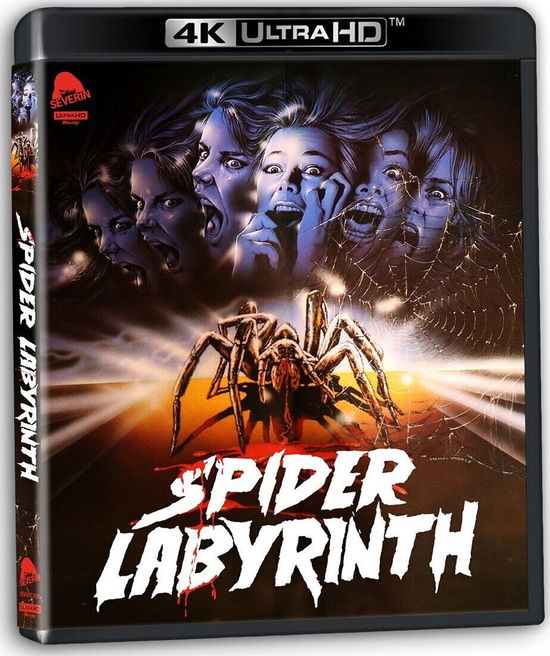 Spider Labyrinth - 4k Ultra Hd - Filmy - HORROR - 0760137144373 - 26 marca 2024