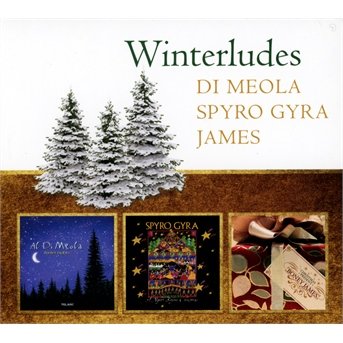 Winterludes - Meola, Al Di/James / Spyro Gyra - Musik - CONCORD - 0888072347373 - 25. november 2013
