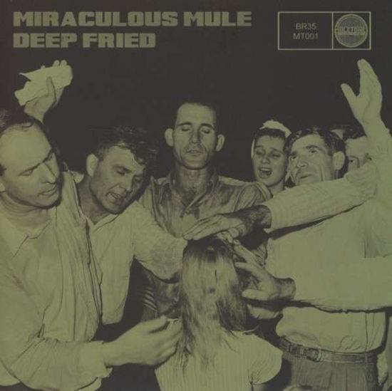 Deep Fried - Miraculous Mule - Musik - Bronzerat/Muletone - 5051083072373 - 15. oktober 2013