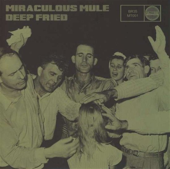 Cover for Miraculous Mule · Deep Fried (CD) (2013)