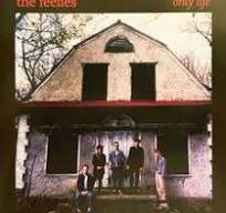 Cover for The Feelies · Only Life (LP) (2025)