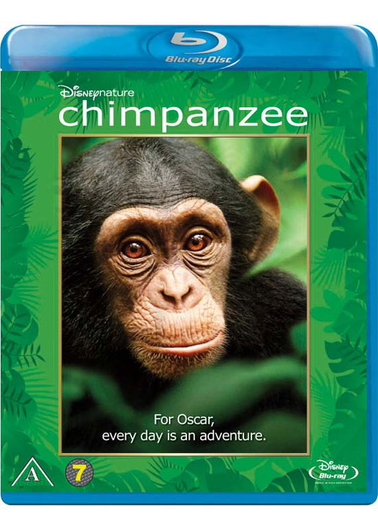 Cover for Disneynature · Chimpanzee (Blu-ray) (2014)