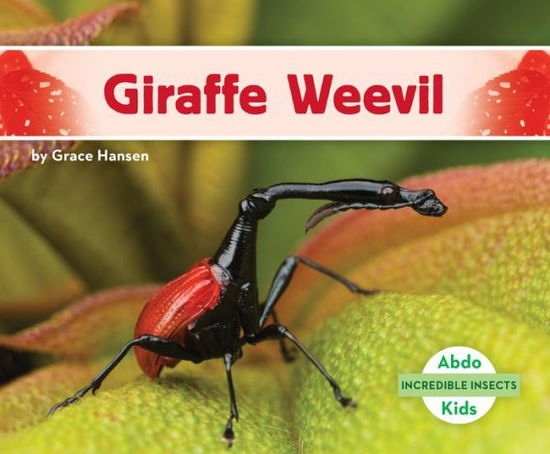 Cover for Grace Hansen · Giraffe Weevil (Hardcover Book) (2021)