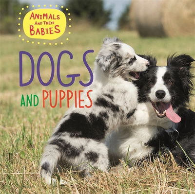 Cover for Annabelle Lynch · Animals and their Babies: Dogs &amp; puppies - Animals and their Babies (Paperback Book) [Illustrated edition] (2019)