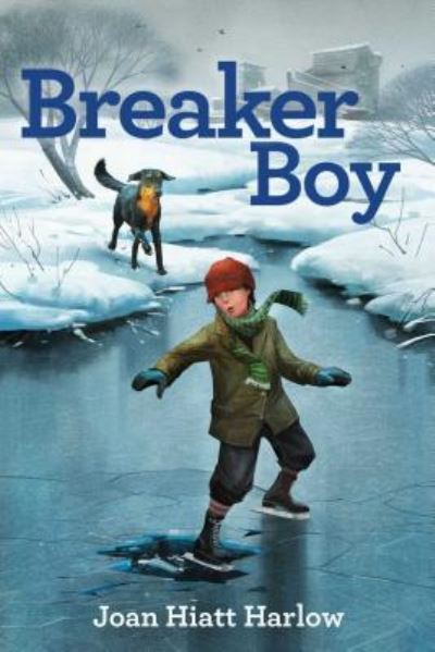 Cover for Joan Hiatt Harlow · Breaker Boy (Hardcover Book) (2017)