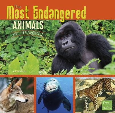 Cover for Tammy Gagne · Most Endangered Animals in the World (All About Animals) (Paperback Book) (2015)