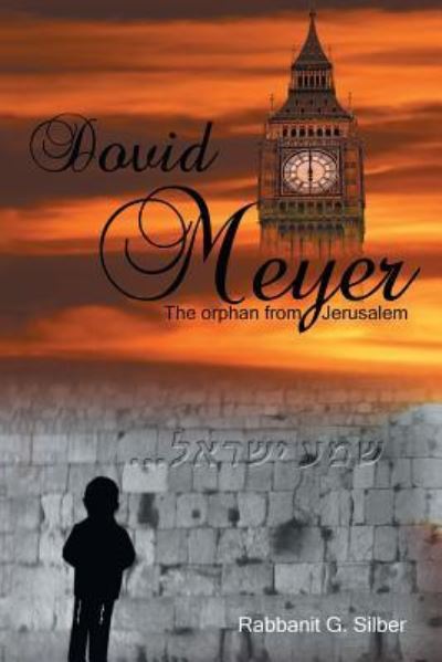 Cover for Rabbanit G Silber · Dovid Meyer (Paperback Book) (2015)