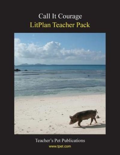 Cover for Barbara M Linde · Litplan Teacher Pack (Paperback Book) (2006)