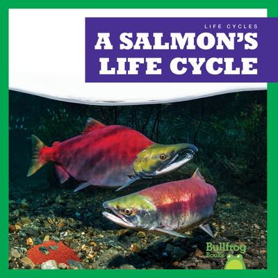 Salmon's Life Cycle - Rice - Other - Jump! Incorporated - 9781636908373 - August 1, 2022