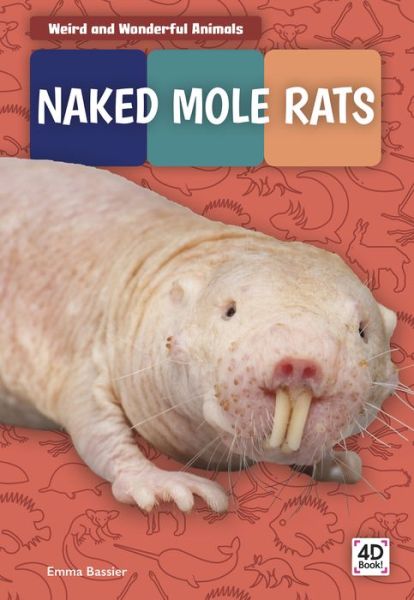 Cover for Emma Bassier · Naked Mole Rats - Weird and Wonderful Animals (Paperback Book) (2020)