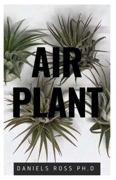 Cover for Daniels Ross Ph D · Air Plant (Pocketbok) (2020)
