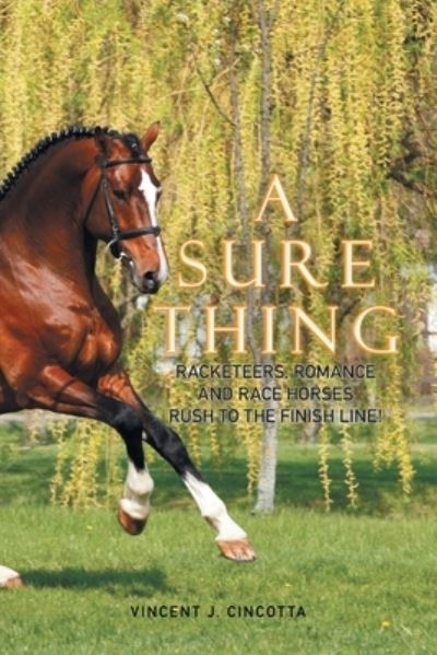 A Sure Thing - Vincent J Cincotta - Books - Xlibris Us - 9781664110373 - December 22, 2021