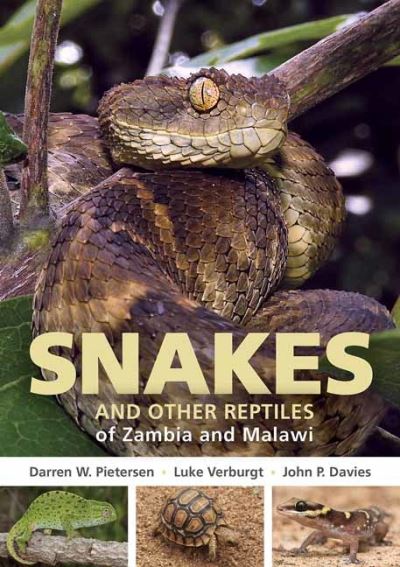 Cover for Darren W. Pietersen · Field Guide to Snakes and other Reptiles of Zambia and Malawi - Struik Nature Field Guides (Taschenbuch) (2021)