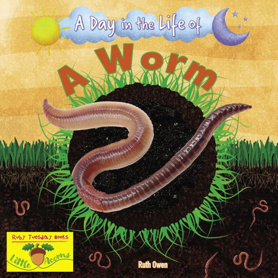 A Worm - A Day in the Life Of - Ruth Owen - Bøger - Ruby Tuesday Books Ltd - 9781788564373 - 31. oktober 2024