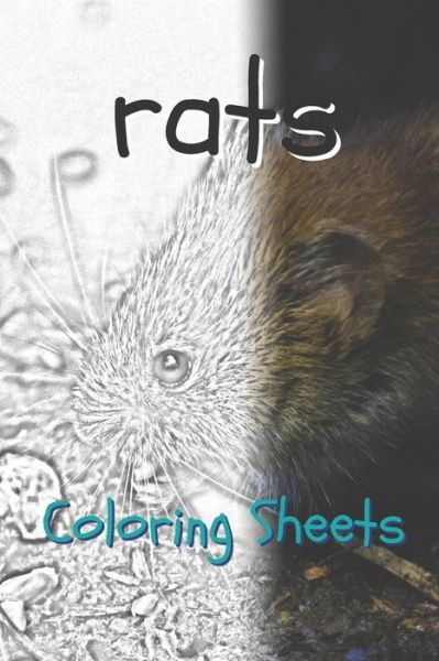 Rat Coloring Sheets - Julian Smith - Books - Independently Published - 9781797739373 - February 21, 2019