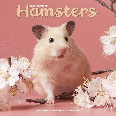 Cover for Hamsters Calendar 2025 Square Animal Wall Calendar - 16 Month (Kalender) (2024)