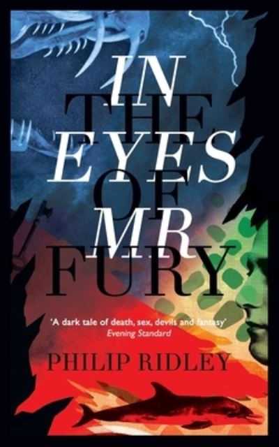 In the Eyes of Mr Fury - Philip Ridley - Książki - Valancourt Books - 9781943910373 - 6 grudnia 2016