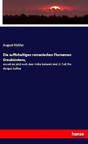 Cover for Kübler · Die suffixhaltigen romanischen F (Buch) (2019)
