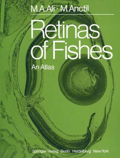 Cover for Mohamed A. Ali · Retinas of Fishes: An Atlas (Paperback Book) [Softcover reprint of the original 1st ed. 1976 edition] (2011)