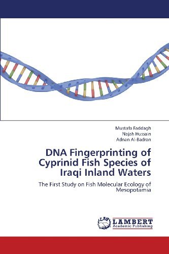 Cover for Adnan Al-badran · Dna Fingerprinting of Cyprinid Fish Species of Iraqi Inland Waters: the First Study on Fish Molecular Ecology of Mesopotamia (Pocketbok) (2013)