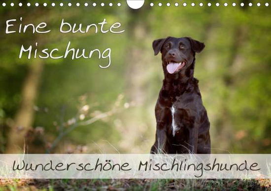 Cover for Noack · Eine bunte Mischung - wunderschön (Book)