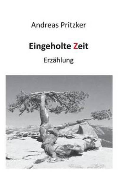 Cover for Andreas Pritzker · Eingeholte Zeit: Erzahlung (Paperback Book) [German edition] (2014)