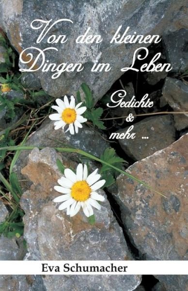 Cover for Schumacher · Von den kleinen Dingen im Le (Book) (2017)